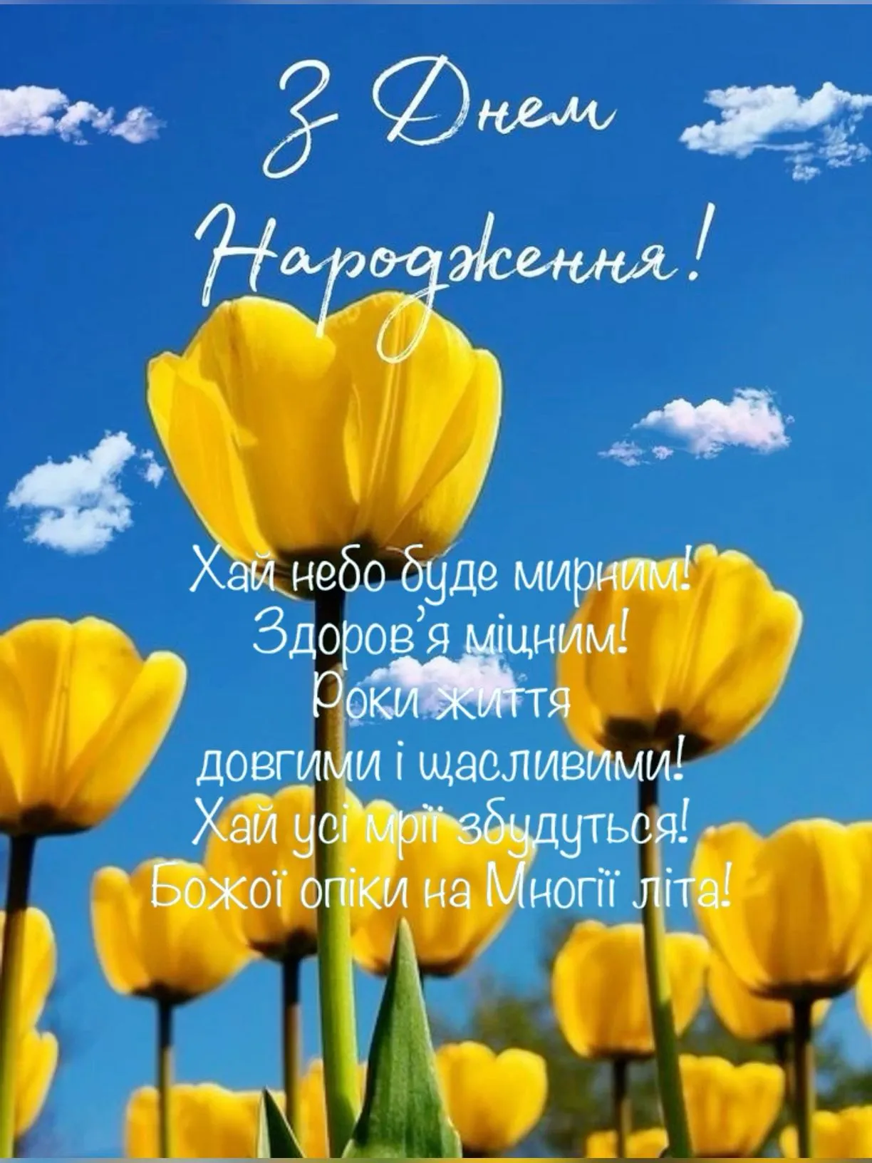 Патріотична картинка з днем народження - з теплом і патріотичним настроєм, для гарного дня Патріотична картинка з днем народження - з теплом і патріотичним настроєм, для гарного дня